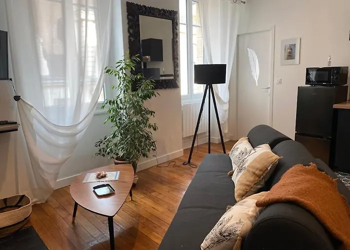 Appartement La Petite Chouette, Et Cosy T2 Dijon