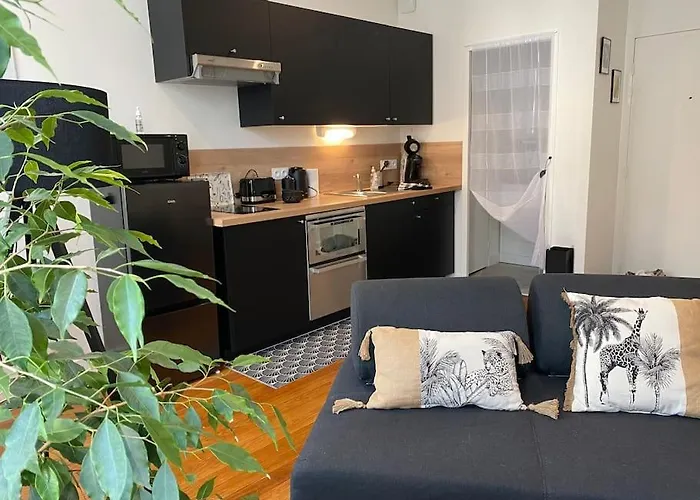 La Petite Chouette, Et Cosy T2